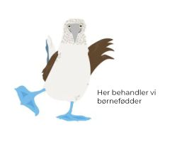 Måge